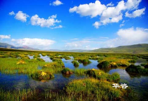 長(zhǎng)沙水土保持？湖南省水土保持編制專業(yè)公司_10年專注水土保持報(bào)告的編制。