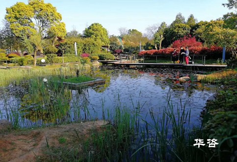 生態(tài)保護(hù)、建設(shè)用地、城鎮(zhèn)發(fā)展影響專題研究報告案例_華咨基于公路前期專項評估一站式服務(wù)的優(yōu)勢剖析