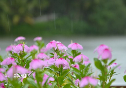環(huán)評_華咨環(huán)保機構(gòu)_第三方專業(yè)航評公司_湖南長沙華咨環(huán)保公司專業(yè)的技術(shù)單位 環(huán)評_華咨環(huán)保機構(gòu)_第三方專業(yè)航評公司_湖南長沙華咨環(huán)保公司專業(yè)的技術(shù)單位