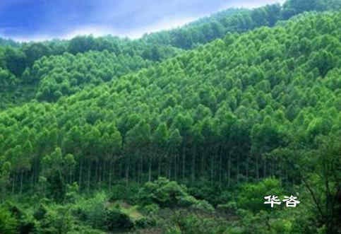 株洲本地水保單位_湖南省專業(yè)水土保持方案報告編制公司_華咨水?？萍? title=