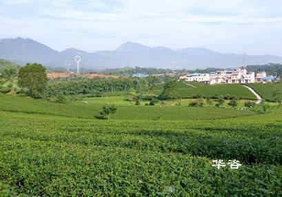 華咨生態(tài)鏈企業(yè)又增一員大將,實(shí)現(xiàn)生態(tài)環(huán)境技術(shù)服務(wù)全覆蓋 華咨生態(tài)鏈企業(yè)又增一員大將,實(shí)現(xiàn)生態(tài)環(huán)境技術(shù)服務(wù)全覆蓋