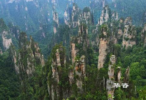 號(hào)外號(hào)外！大美張家界迎來(lái)本地社會(huì)穩(wěn)定風(fēng)險(xiǎn)評(píng)估（穩(wěn)評(píng)）報(bào)告編制單位！