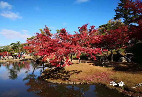 華咨公司交通工程師團(tuán)隊(duì)赴江西南昌就藥材小鎮(zhèn)建設(shè)項(xiàng)目開(kāi)展交通量現(xiàn)狀調(diào)研