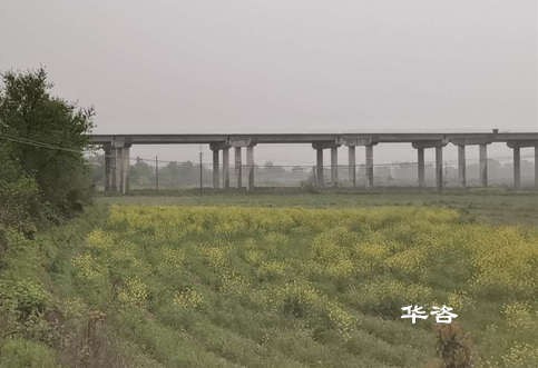 好消息！華咨公司測(cè)量團(tuán)隊(duì)再次交付岳陽(yáng)、常德項(xiàng)目水下地形圖測(cè)量成果