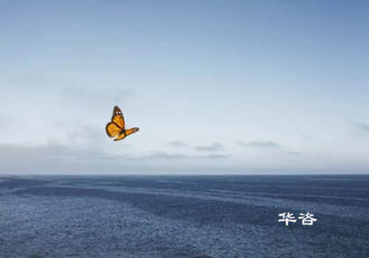 周口市航評(píng)單位_河南省專業(yè)航道通航條件影響評(píng)價(jià)報(bào)告編制單位_專業(yè)服務(wù) 周口市航評(píng)單位_河南省專業(yè)航道通航條件影響評(píng)價(jià)報(bào)告編制單位_專業(yè)服務(wù)