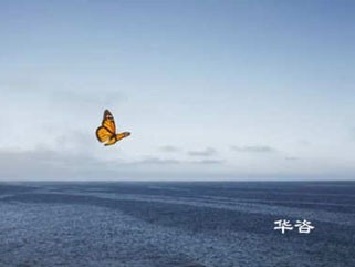 婁底水土保持方案-專業(yè)水保單位-水保為什么需要專業(yè)公司？