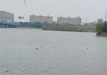 岳陽航評(píng)案例,岳陽通航安全保障方案,通航安全評(píng)估 岳陽航評(píng)案例,岳陽通航安全保障方案,通航安全評(píng)估