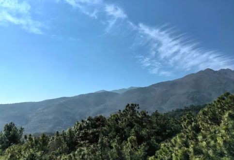 編制湖南省內地質災害安全性評價報告時可以引用哪些法律法規(guī)？